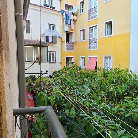 Barracao De Alfama Apartment